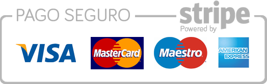 pago seguro